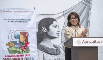 Convención del Café Oaxaqueño 2026 buscará impulsar comercialización y consumo del grano