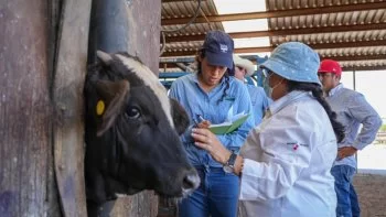 Gusano Barrenador: SDR pide no caer en pánico y reportar casos oportunamente