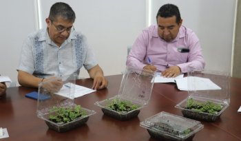 INIFAP e Inbright firman convenio para impulsar innovación agrícola en México