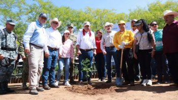 Baja California Sur se suma a la Jornada Nacional de Reforestación 2026