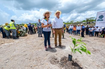 Mara Lezama encabeza reforestación en Quintana Roo con 12 mil árboles