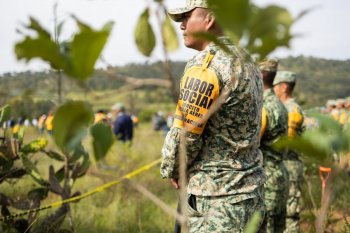 Querétaro se suma a la Jornada Nacional de Reforestación 2026 con más de mil 500 participantes