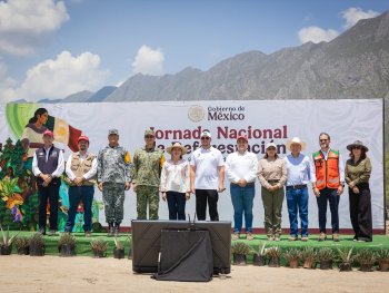 Samuel García encabeza Jornada Nacional de Reforestación en Nuevo León