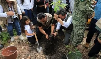 Chiapas reforestará 1.1 millones de plantas en Jornada Nacional de Reforestación 2026
