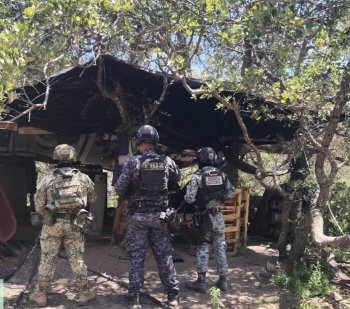 Fuerzas de seguridad desmantelan área de drogas sintéticas en Sombrerete