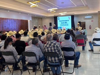 SDR capacita a 1,050 productores ganaderos ante sospecha de Gusano Barrenador del Ganado en centro-sur