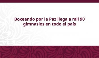Boxeando por la Paz: 2 mil 263 boxeadores dan clases gratuitas en 256 municipios