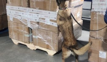 Aseguran más de dos millones de cigarros de procedencia ilícita en el AICM