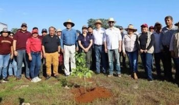 Campeche reforesta 952 hectáreas en la Jornada Nacional de Reforestación 2026