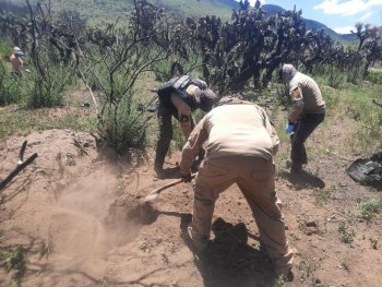 Hallazgos positivos en búsqueda forense en Luis Moya; restos óseos serán analizados