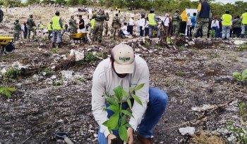 Jornada Nacional de Reforestación en Quintana Roo reúne a más de 700 personas