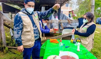 Sembrando Vida y Senasica combaten al gusano barrenador con 400 mil campesinos