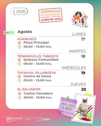 Esterilización canina y felina gratis llegará a cuatro municipios de Zacatecas