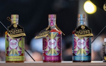 Gobernadora lanza Marca Guanajuato Internacional y entrega distintivos y constancias