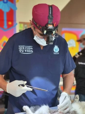 Jornada gratuita de esterilización para perros y gatos se realizará en Celaya