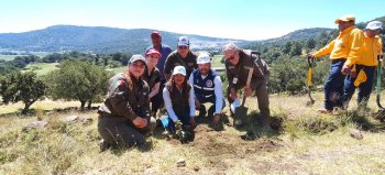 Medio Ambiente y CALIDRA reforestan Acajete; buscan plantar más de dos millones de árboles