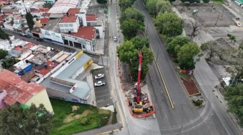 Morebús plantará más de 20 mil árboles para compensar impacto ambiental en Morelia