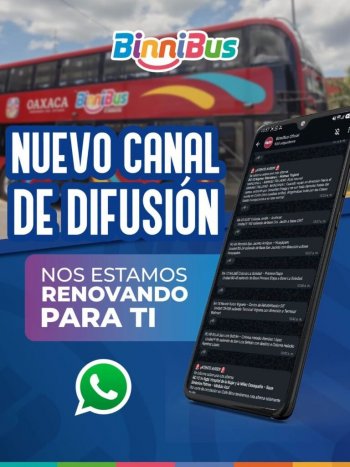 BinniBus renueva su canal oficial de WhatsApp para informar a usuarios