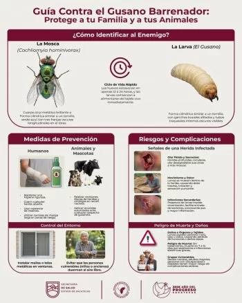 Gobierno de Zacatecas refuerza vigilancia y prevención de miasis por Gusano Barrenador del Ganado