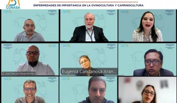 Simposio Internacional de Actualización del Comité No. 9 de Salud Ovina y Caprina