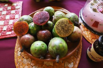 Expo-Feria de la Pitahaya y Xoconostle espera 4 mil visitantes en Huitziltepec