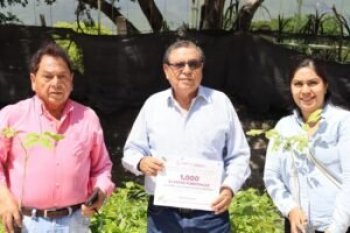SEMAREN concluye entrega de plantas forestales en Guerrero; supera 120 mil ejemplares