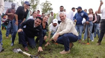 Reforestación por Morebús: 32 mil árboles y primera jornada en Villas del Pedregal