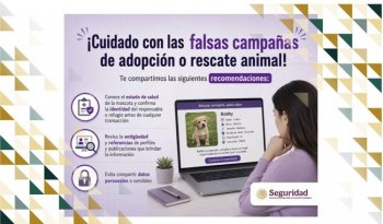 SSPC alerta sobre fraudes en falsas adopciones y donaciones a refugios de animales