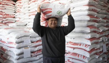 Veracruz concentra 41% de apoyos del programa de fertilizantes para caña de azúcar