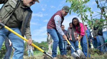 Gobernador encabeza reforestación de 5 mil árboles en Morelia por obra del Morebús
