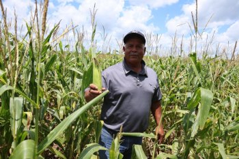 Campo de Quintana Roo crece 26.7% y se coloca en sexto lugar nacional