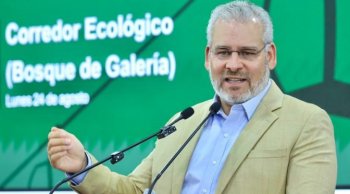 Conservarán árboles de Tres Puentes en obras del Morebús, informe gobernador