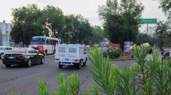 Rescatan y trasplantan 27 árboles por ajustes al Morebús en Morelia