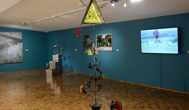 Artistas conversarán sobre territorio y plantas nativas en la Sala de Arte Público