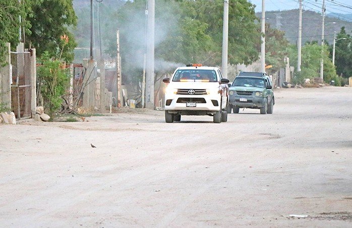 Fumigan más de 4 mil 700 hectáreas en Baja California Sur contra el dengue