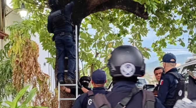 Aseguran 12 cámaras de vigilancia en Apatzingán y Buenavista