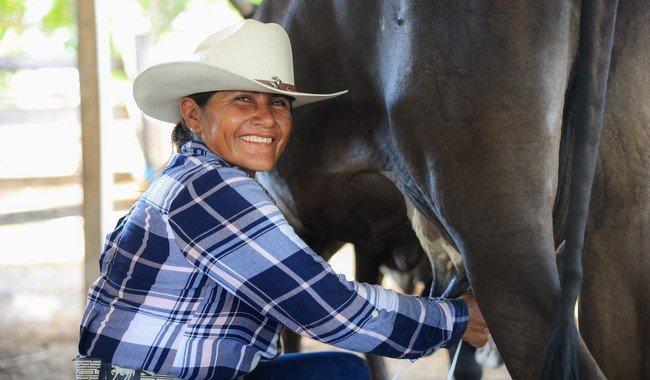 Leche para el Bienestar llega a 7.7 millones de beneficiarios con 13,537 puntos de