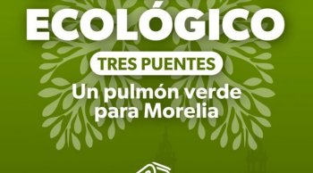 Corredor Ecológico en Tres Puentes de Morelia: 27 árboles serán trasplantados
