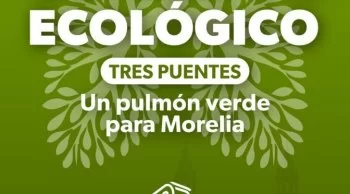 Corredor Ecológico en Tres Puentes de Morelia: 27 árboles serán trasplantados
