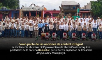 Dengue en México cae 80% en 2026; instalan 210 mil ovitrampas para monitoreo