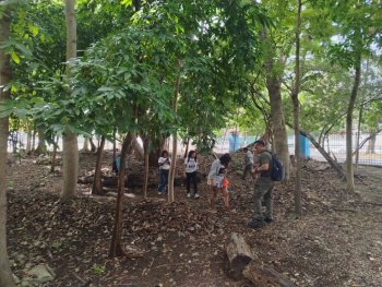 Lanzan iniciativa para documentar los hongos de Quintana Roo con ayuda ciudadana