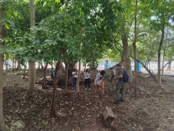 Lanzan iniciativa para documentar los hongos de Quintana Roo con ayuda ciudadana