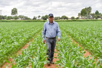 Presa Plutarco Elías Calles almacena seis veces más agua que en 2024