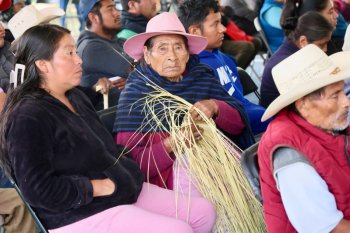 DIF Oaxaca entrega 655 canastas alimentarias y apoyos a más de 800 personas en la Mixteca