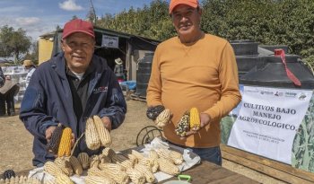 Escuelas de Campo capacitan a 171 mil productores en agroecología