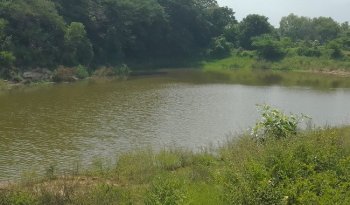 Recorren predios de Chiapas para evaluar tecnologías sustentables del INIFAP