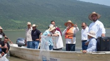 Siembran 80 mil crías de pez blanco en el lago de Pátzcuaro