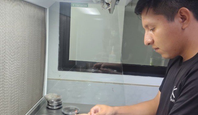 Estudiantes de la UT del Mayab realizan residencias en el Campo Experimental Mocochá