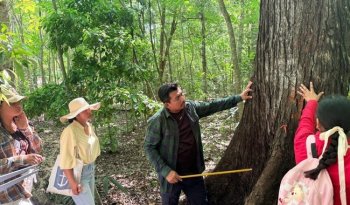 Seminario en Campeche forma a especialistas en monitoreo de ecosistemas tropicales