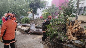 Lluvias dejan afectaciones en zona metropolitana de Oaxaca; reportan encharcamientos